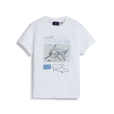 Boys White Graphic Printed Short Sleeve T-Shirt
